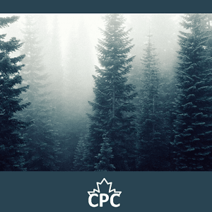 CPCVision5