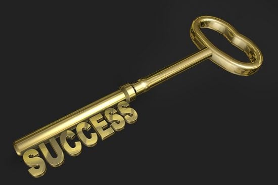 Careerpreneurial strategies for success