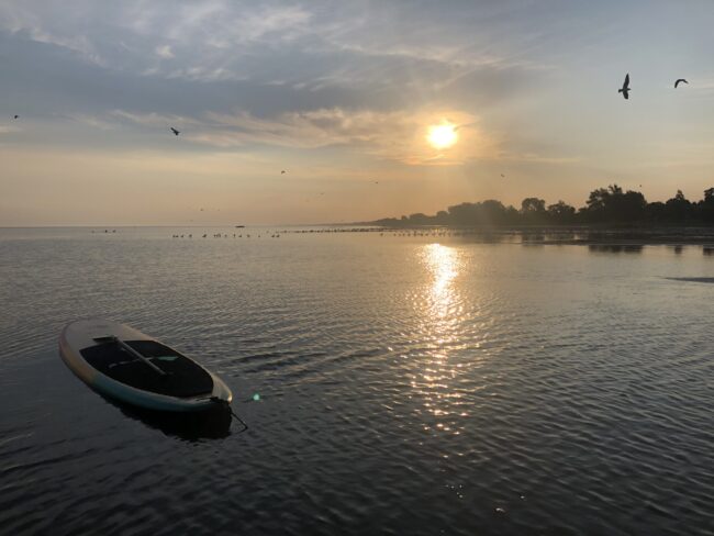 Water travel as metaphor for career journey
