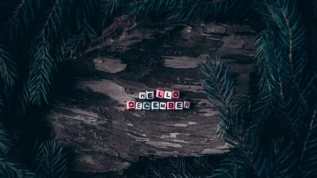 Career transition during the holidays