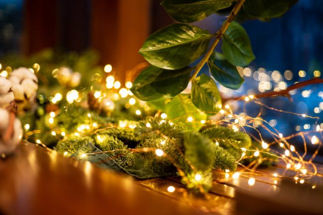 Holiday season decoration with lights and greenery